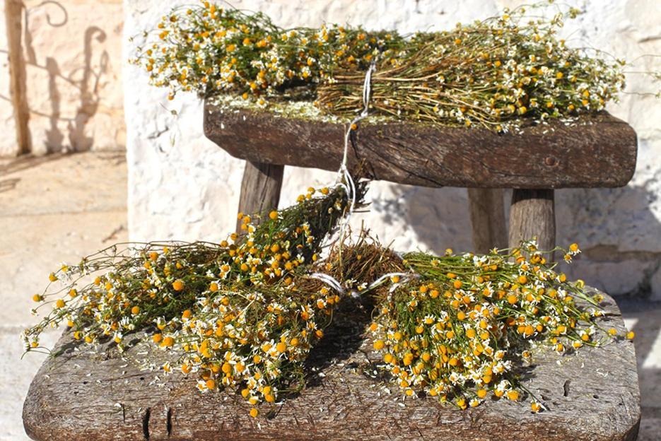 B&B Salita Delle Pere Alberobello Kültér fotó